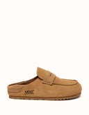 AUSTRALIAN SHEPHERD® Casten