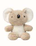 AUSTRALIAN SHEPHERD® Mellora Koala