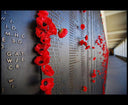 Lest We Forget - The UGG Shop®