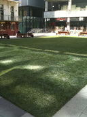 Go Green! - The UGG Shop®