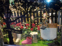 Excuse us….. - The UGG Shop®