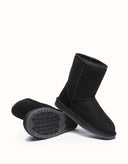 AUSTRALIAN SHEPHERD® SHORT CLASSIC