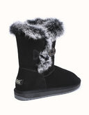 AUSTRALIAN SHEPHERD® Donna