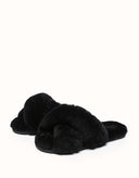 AUSTRALIAN SHEPHERD® LINTY