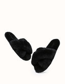 AUSTRALIAN SHEPHERD® LINTY