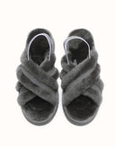 AUSTRALIAN SHEPHERD® Aditi