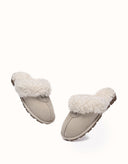 AUSTRALIAN SHEPHERD® Waffle Curly