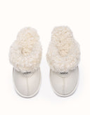 AUSTRALIAN SHEPHERD® Waffle Curly