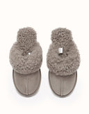 AUSTRALIAN SHEPHERD® Waffle Curly