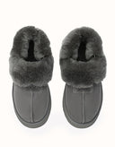 AUSTRALIAN SHEPHERD® Suzie Platform