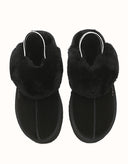 AUSTRALIAN SHEPHERD® Muffin Plus Platform