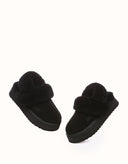 AUSTRALIAN SHEPHERD® Musa Platform