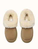 AUSTRALIAN SHEPHERD® Clarrie Platform