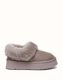 AUSTRALIAN SHEPHERD® Clarrie Platform