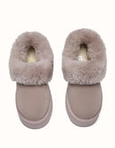 AUSTRALIAN SHEPHERD® Clarrie Platform