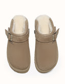 AUSTRALIAN SHEPHERD® Sadie