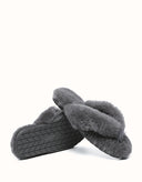 AUSTRALIAN SHEPHERD® Farah