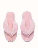 AUSTRALIAN SHEPHERD® Farah