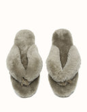 AUSTRALIAN SHEPHERD® Farah