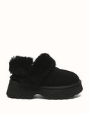 AUSTRALIAN SHEPHERD® Muna Platform