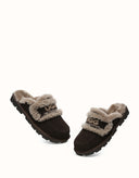 AUSTRALIAN SHEPHERD® Rilee