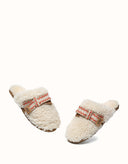 AUSTRALIAN SHEPHERD® Cecil