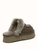 AUSTRALIAN SHEPHERD® Sammy