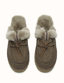 AUSTRALIAN SHEPHERD® Sammy