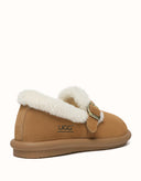 AUSTRALIAN SHEPHERD® Froim