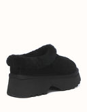 AUSTRALIAN SHEPHERD® Adrian