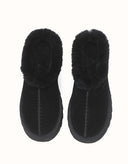 AUSTRALIAN SHEPHERD® Adrian