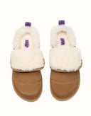 AUSTRALIAN SHEPHERD® Theia