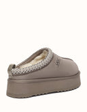 AUSTRALIAN SHEPHERD® Tay Platform