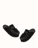 AUSTRALIAN SHEPHERD® Lora