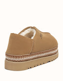 AUSTRALIAN SHEPHERD® Tayven