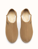 AUSTRALIAN SHEPHERD® Tayven