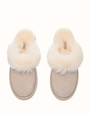 AUSTRALIAN SHEPHERD® Moress