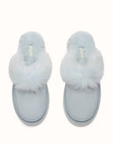 AUSTRALIAN SHEPHERD® Moress