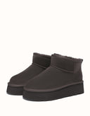 AUSTRALIAN SHEPHERD® Platform Ronnie