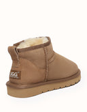 AUSTRALIAN SHEPHERD® Jade