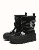 AUSTRALIAN SHEPHERD® Wren