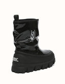 AUSTRALIAN SHEPHERD® Wren