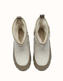 AUSTRALIAN SHEPHERD® Wren