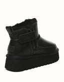 AUSTRALIAN SHEPHERD® Arya