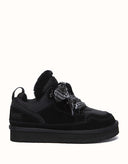 AUSTRALIAN SHEPHERD® Parkyr