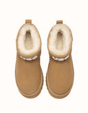 AUSTRALIAN SHEPHERD® Helia Platform