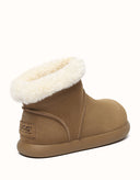 AUSTRALIAN SHEPHERD® Mignow