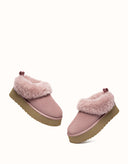 AUSTRALIAN SHEPHERD® Glacial