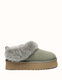 AUSTRALIAN SHEPHERD® Glacial