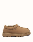 AUSTRALIAN SHEPHERD® Axton